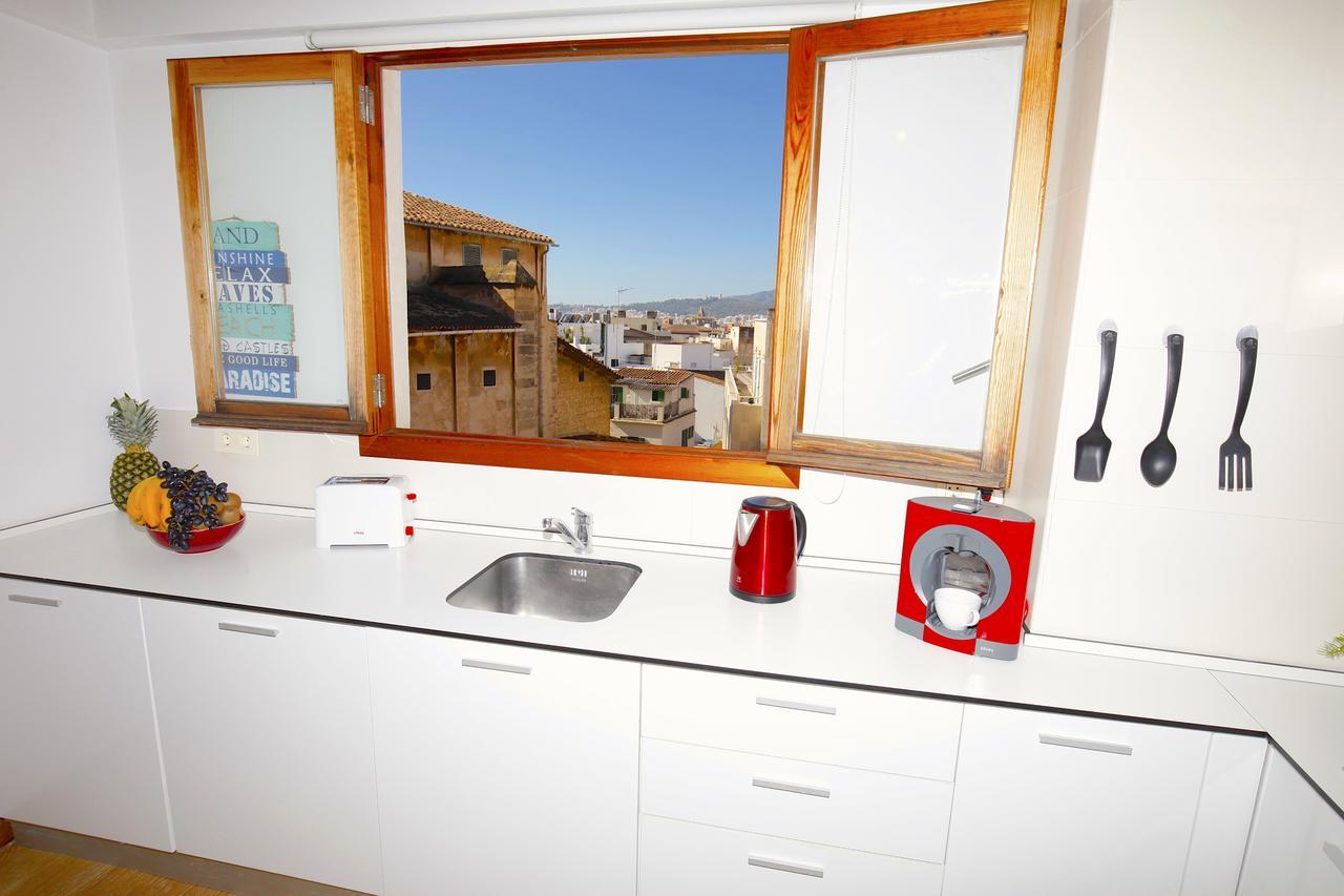 Penthouse Appartement met Terras