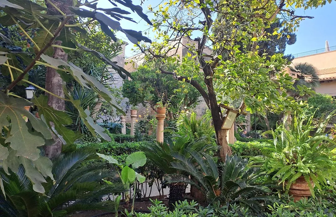 City Haven Palma-1