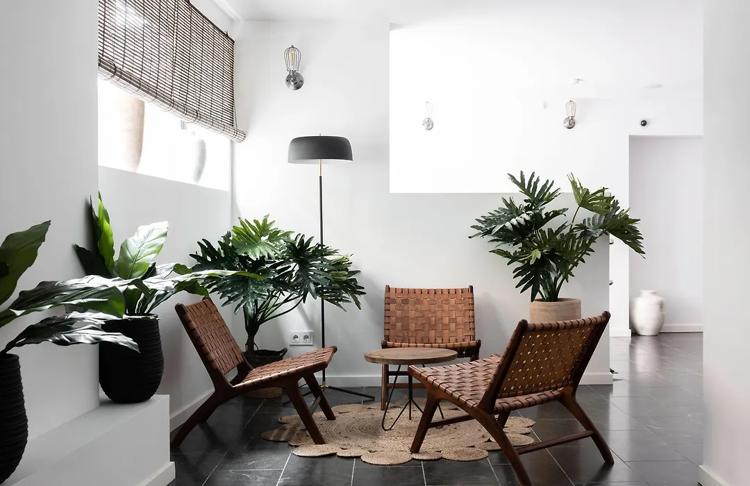 Terreno Suites-1