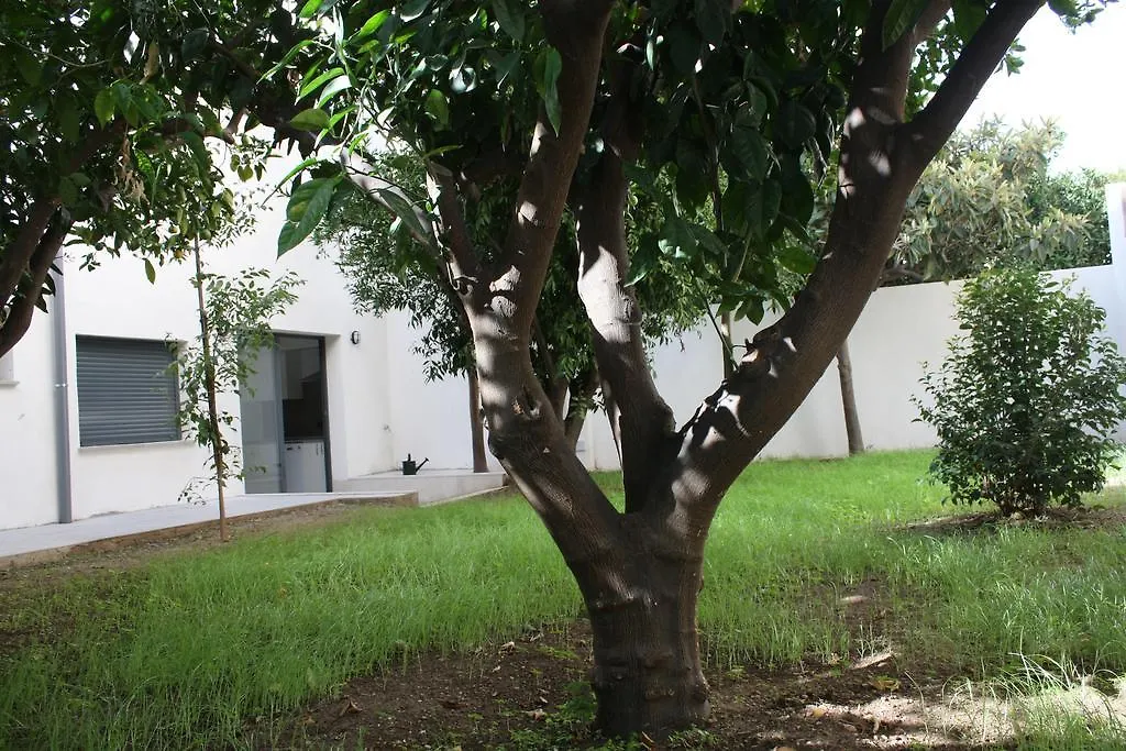 Residencia Mayol - Adults Only-1