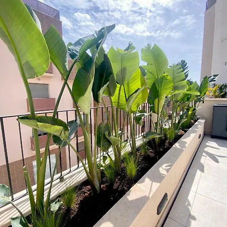 Hotel-Apartment With Big Terrace-2