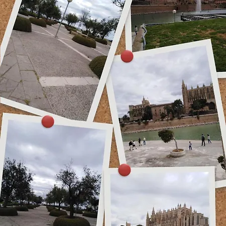 City Haven Palma-3